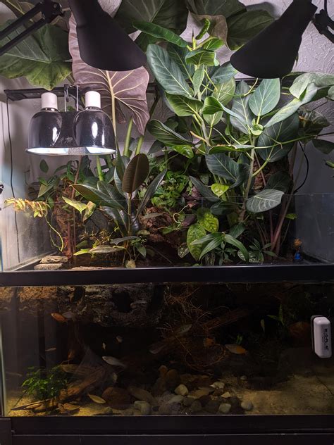 vochtmeter.paludarium|my paludarium.